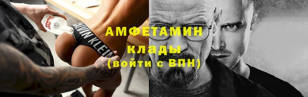 индика Козельск