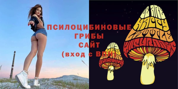 герыч Ленинск-Кузнецкий