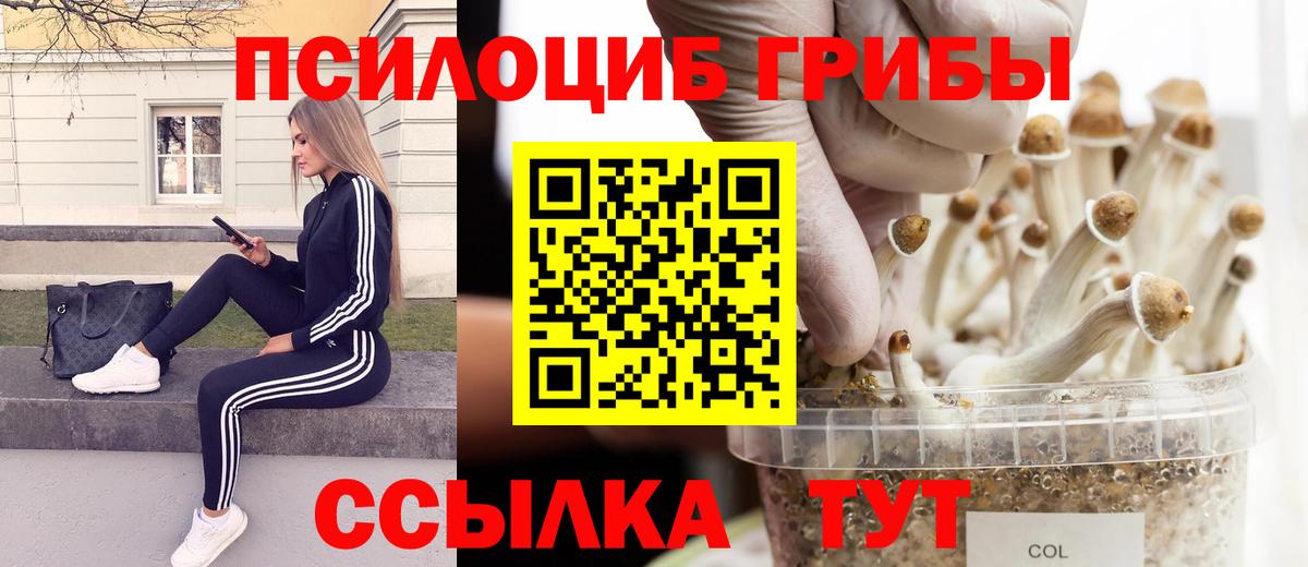ГАШ  Вход с VPN  Михайловка  NBOMe  Каннабис  МЕФ кристаллы  Cocaine 