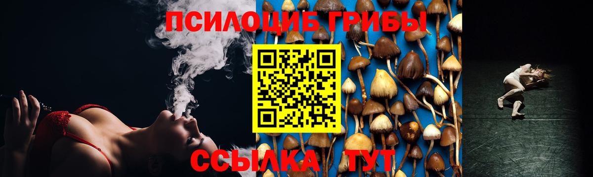 наркошоп  Псилоцибиновые грибы MAGIC MUSHROOMS  Михайловка  Вход с VPN  Галлюциногенные грибы MAGIC MUSHROOMS 